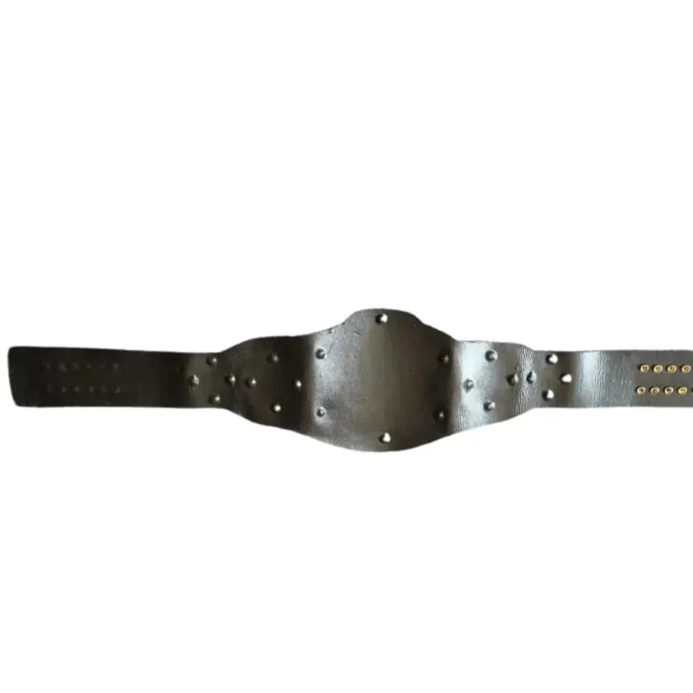 ROH World Tag Team Title replica Championship Belt ChampionshipBeltUS