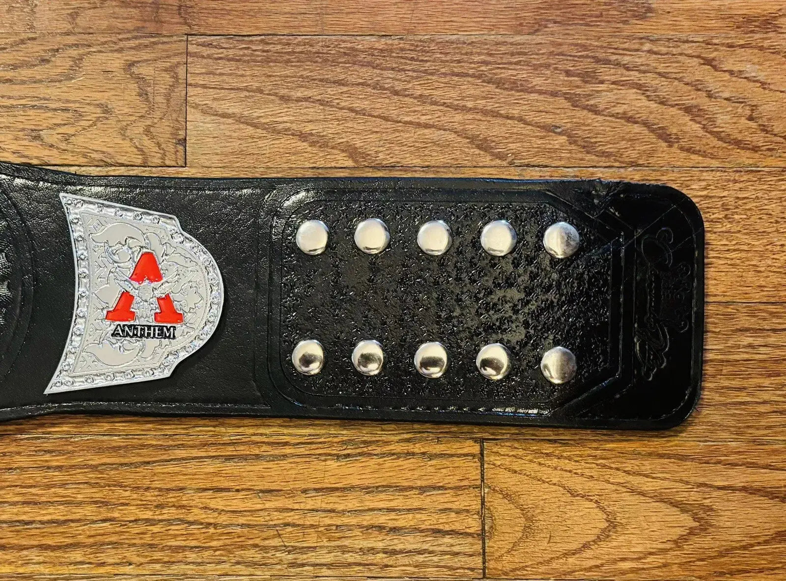 TNA X Division Championship Replica Belt