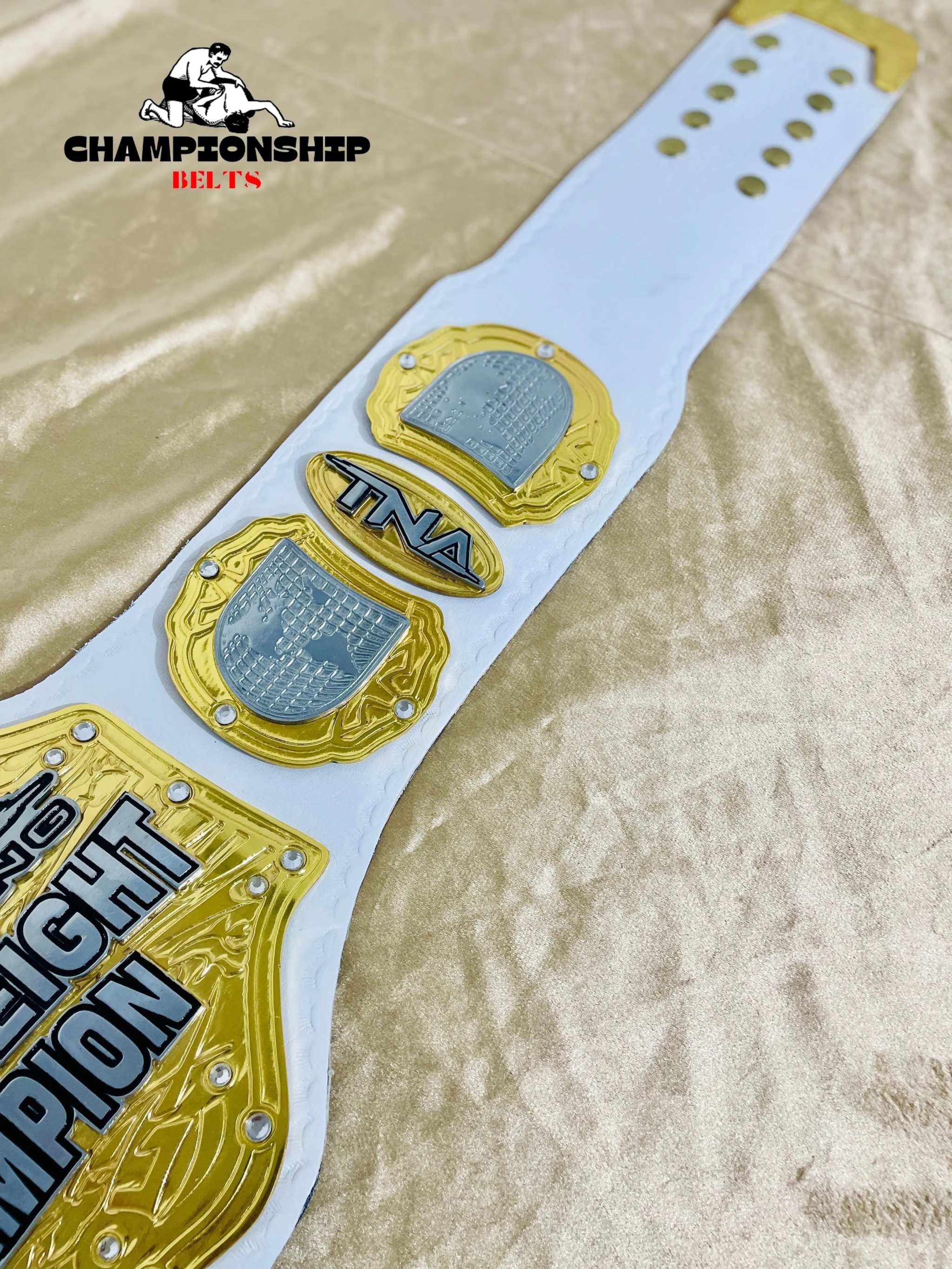 TNA Heavyweight Wrestling Championship Replica title Belt
