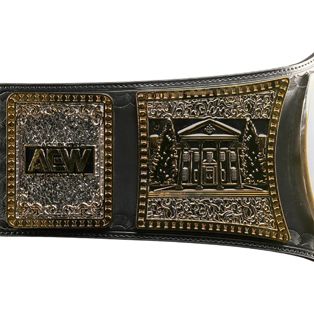 AEW TNT Championship Replica title  Belt – 