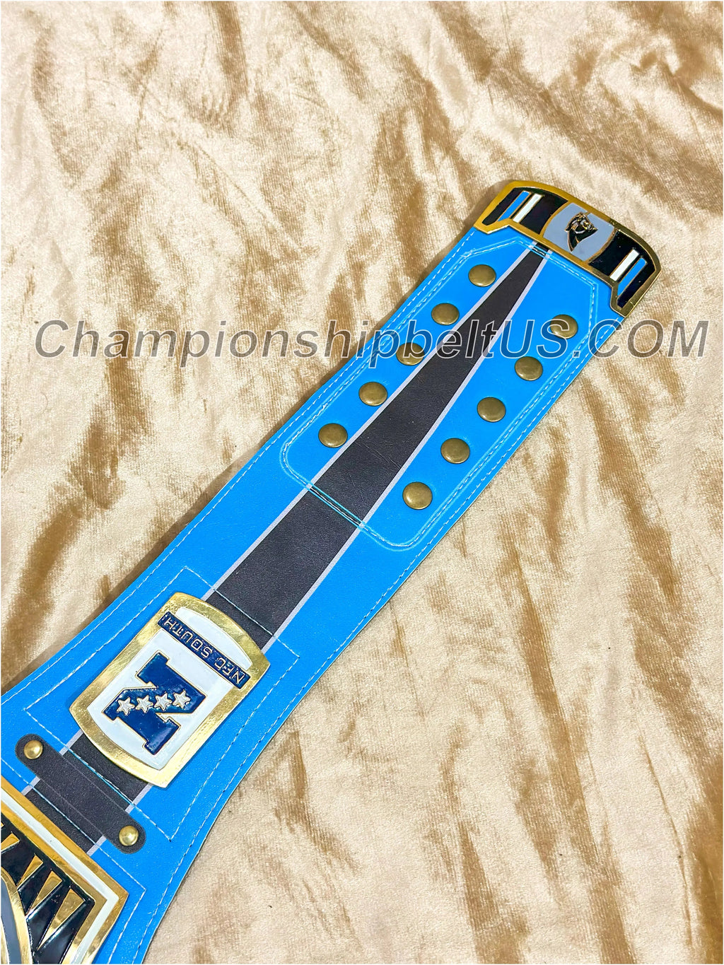 Carolina Panthers Legacy Replica