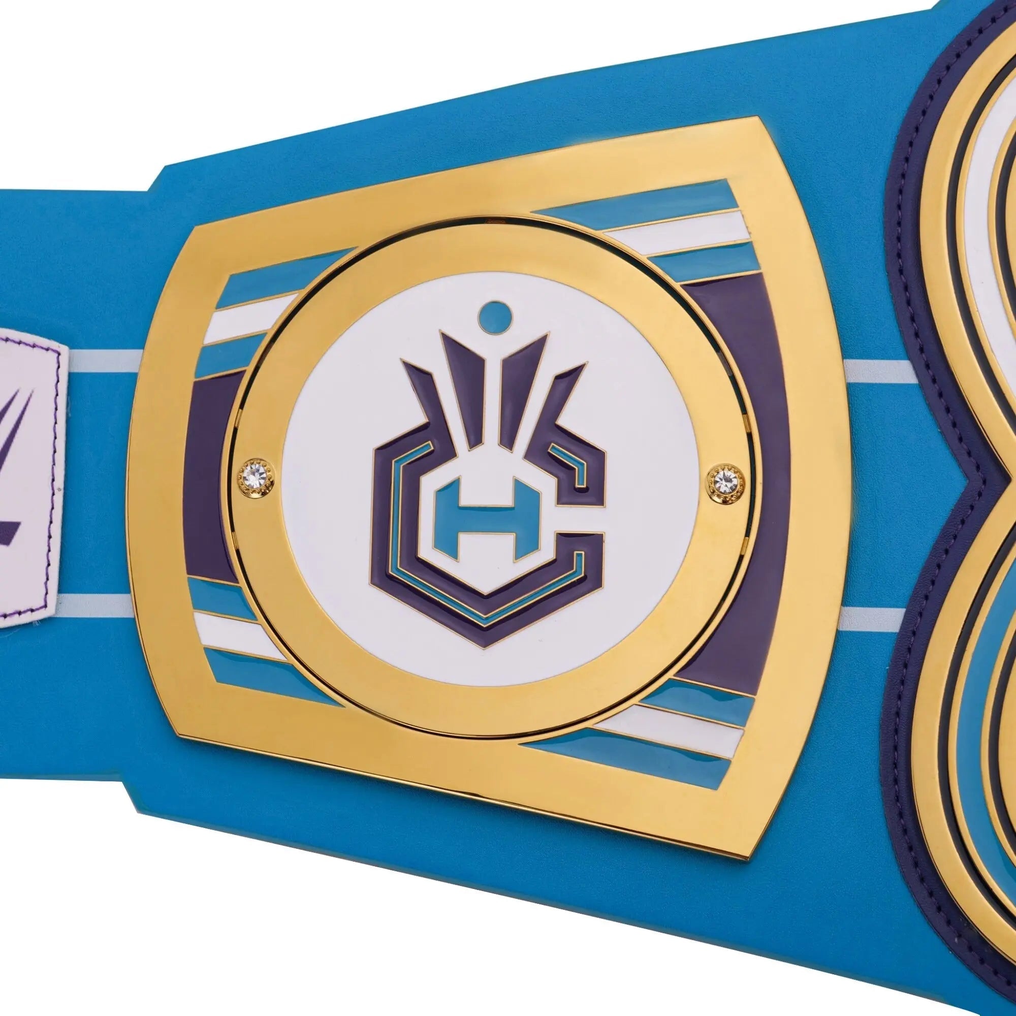 Charlotte Hornets WWE Legacy Title Belt Wrestling Championship 