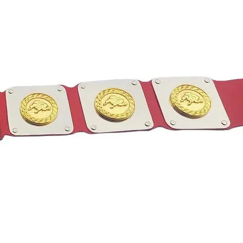 WWWF North American title Heavyweight Wrestling Champion Belt ChampionshipBeltUS