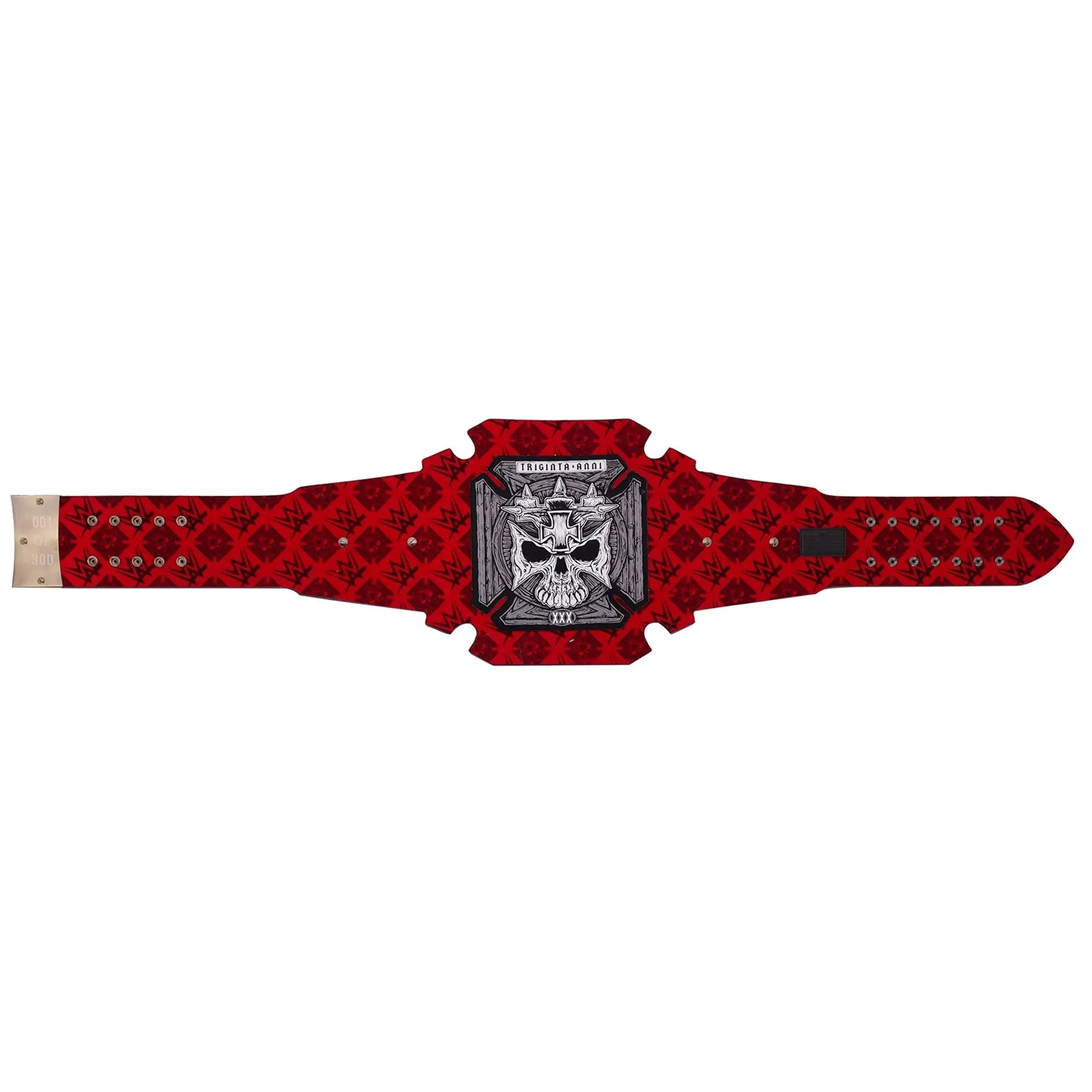 Triple H 30 Years The Authority WWE Championship Title Belt (Copy) ChampionshipBeltUS