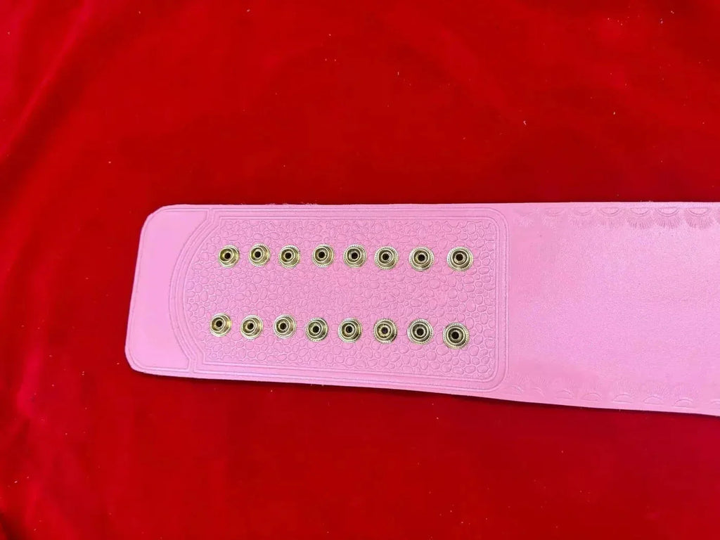 WWF Women’s Wrestling Championship Replica Title Belt ChampionshipBeltUS